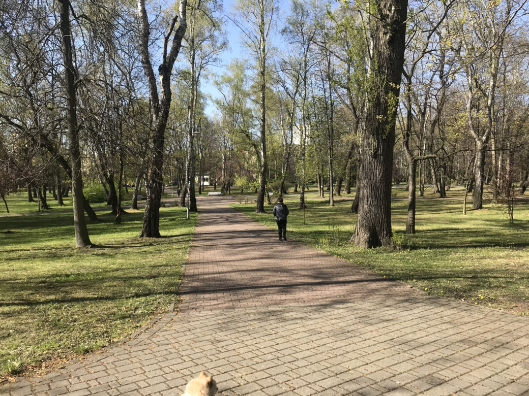 Katowice: Tłumy w Parku Kościuszki. Mieszkańcy ruszyli na spacery