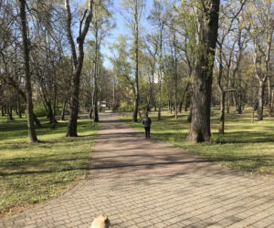 Katowice: Tłumy w Parku Kościuszki. Mieszkańcy ruszyli na spacery