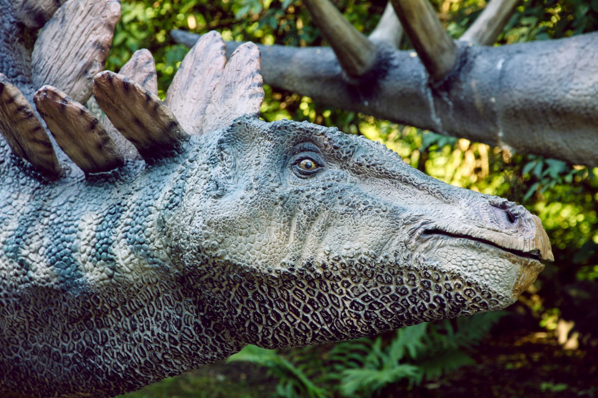Dinozaur