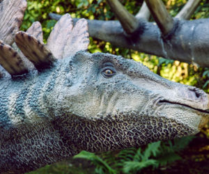Dinozaur