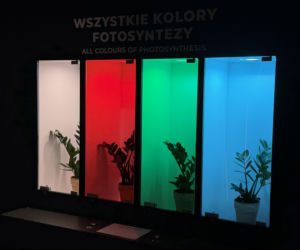 Kortosfera. Nauka, zabawa i wakacyjna energia w Olsztynie