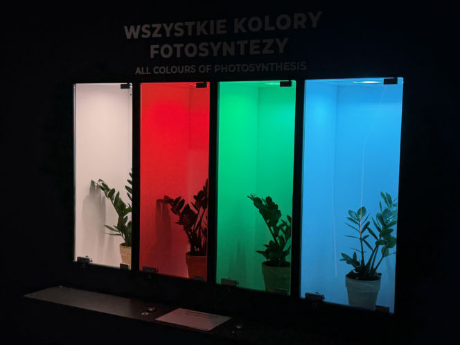 Kortosfera. Nauka, zabawa i wakacyjna energia w Olsztynie