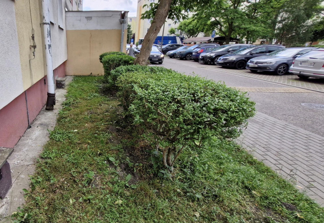 Zosia otworzyła okno na 11. piętrze. Pijana matka spała obok