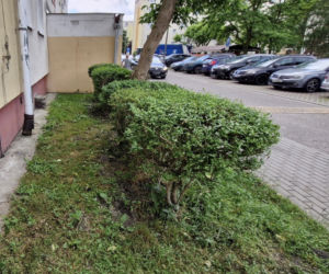 Zosia otworzyła okno na 11. piętrze. Pijana matka spała obok