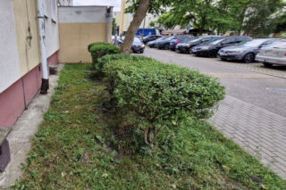 Zosia otworzyła okno na 11. piętrze. Pijana matka spała obok
