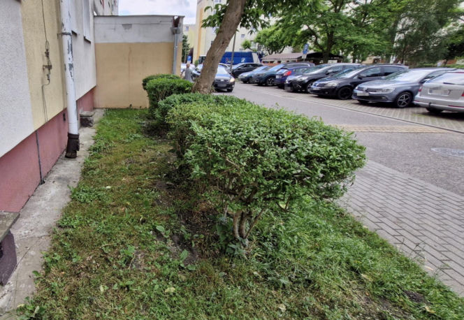 Zosia otworzyła okno na 11. piętrze. Pijana matka spała obok