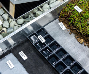 Systemowe zielone dachy - maty wegetacyjne z roślin rozchodnikowych, ziół i mchów