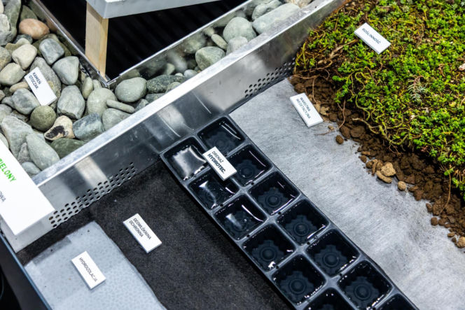 Systemowe zielone dachy - maty wegetacyjne z roślin rozchodnikowych, ziół i mchów