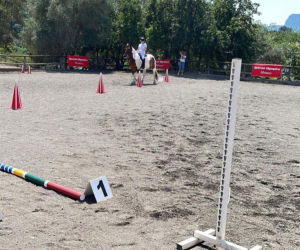 Grand Prix Olimpiad Specjalnych w jeździectwie we Francji