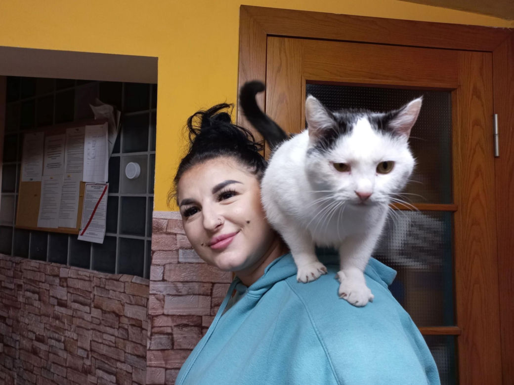 Poszukiwani wolontariusze do pomocy w Kociarni w Lesznie