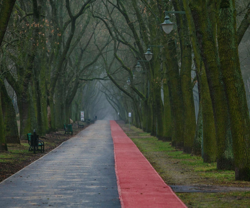 Biegacze mogą korzystać z dwukilometrowej ścieżki