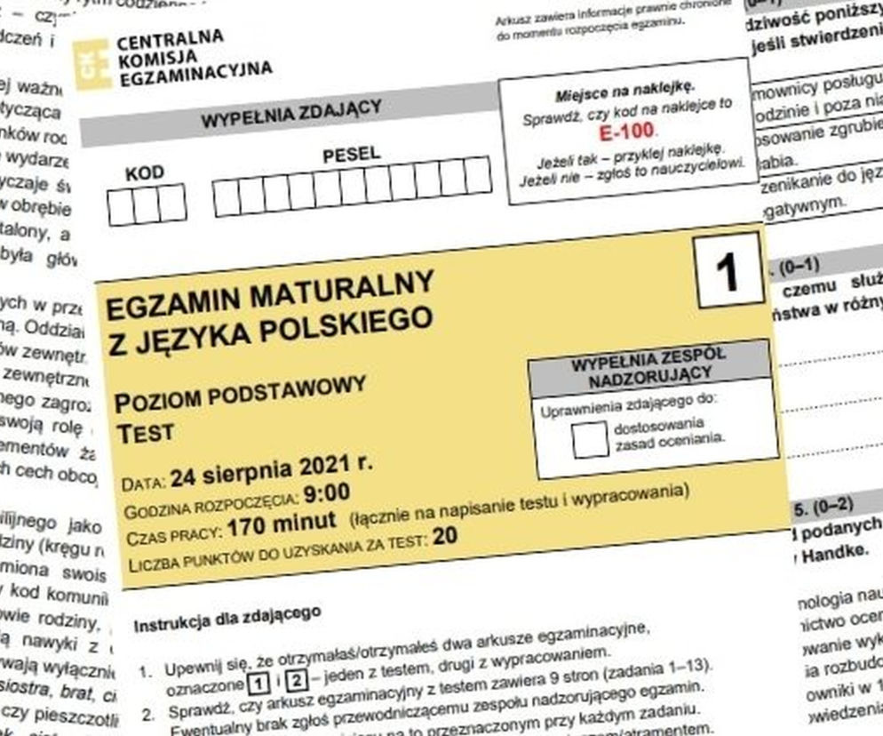 Matura poprawkowa 2021. Język polski: Arkusze CKE, tematy wypracowania, odpowiedzi