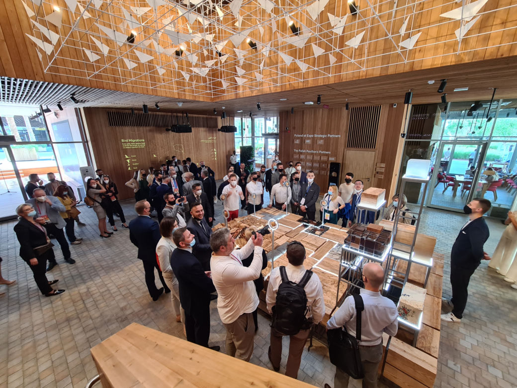 Expo Strategic Partners