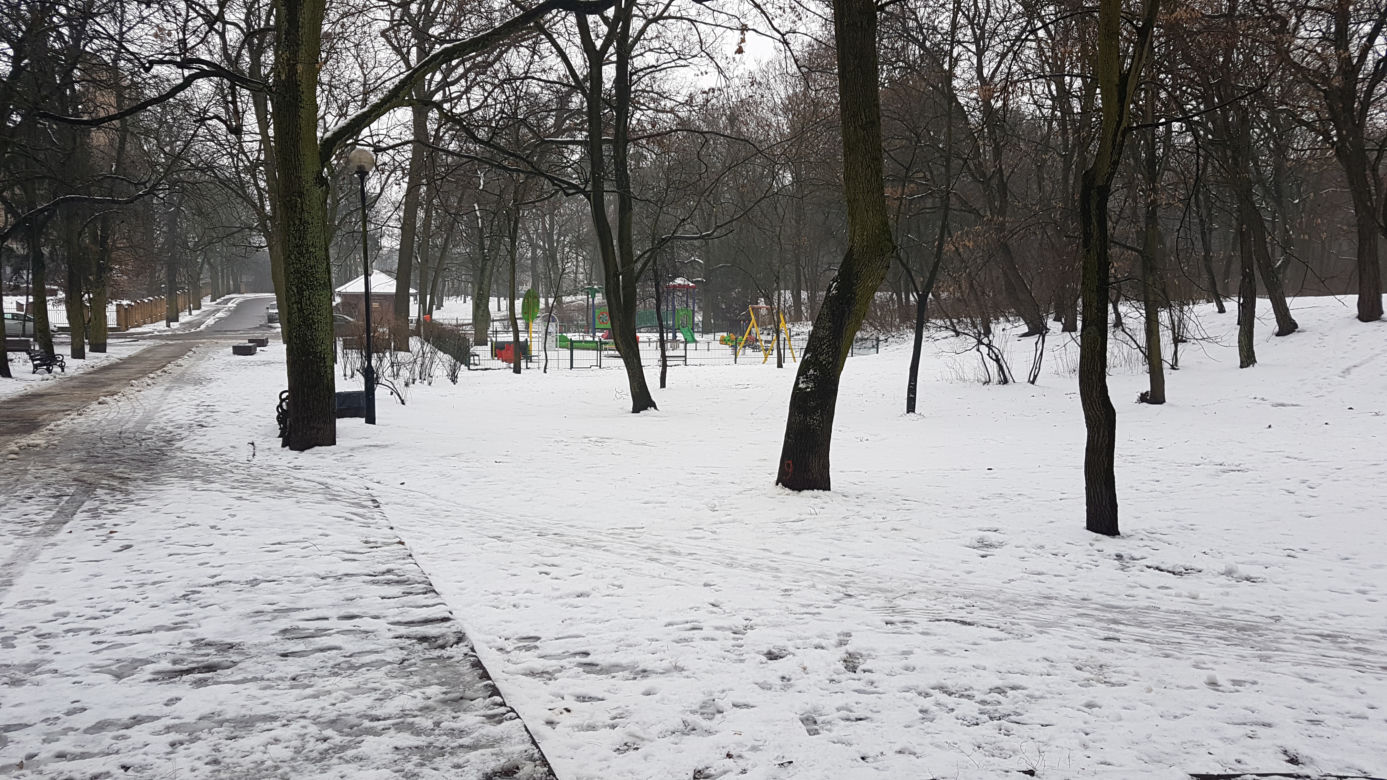 Na spacer po Toruniu