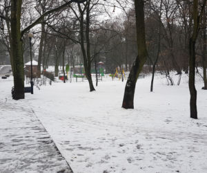 Na spacer po Toruniu
