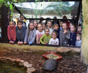 Ferie w Zoo