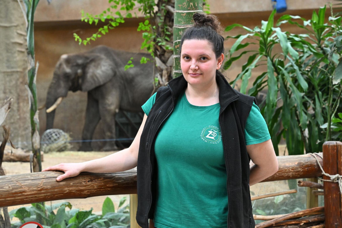 Słoń Leon ma urodziny. Wielka impreza w warszawskim ZOO