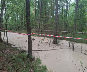 Tajemnicza maź zalała las pod Starachowicami. Policja i leśnicy badają sprawę