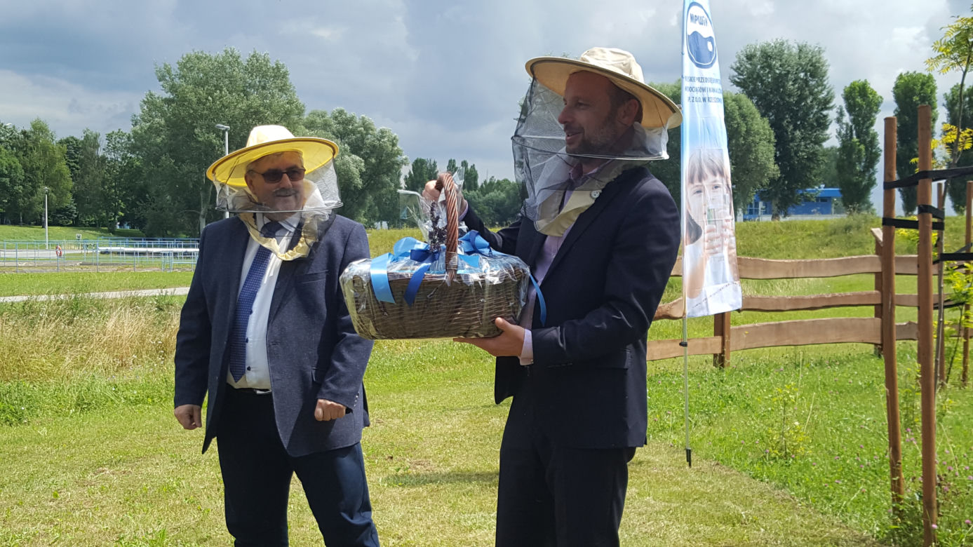 Już ponad pół miliona pszczół w miejskiej pasiece na Zwięczycy! Za nami pierwsze miodobrania