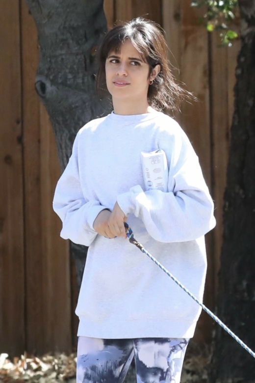 Shawn Mendes i Camila Cabello z psem na spacerze