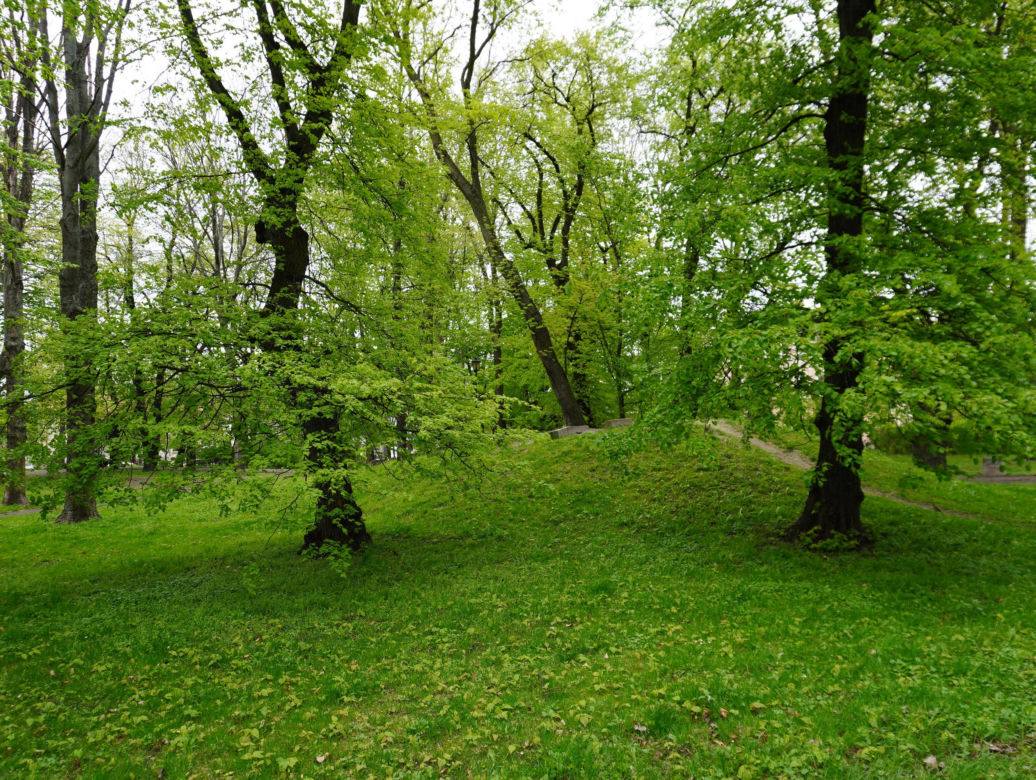 Park Bronowice wiosną 2024