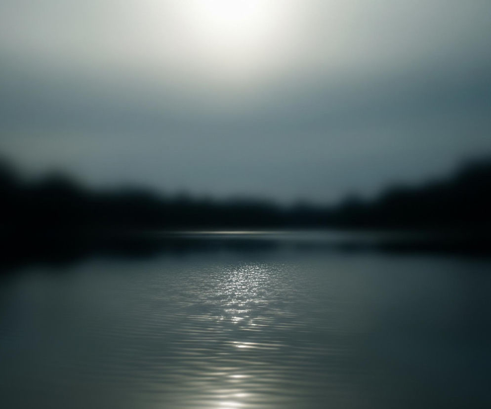 Powyżej widoczny jest krajobraz wodny utrzymany w odcieniach szarości i błękitu. Na pierwszym planie rozciąga się powierzchnia jeziora lub rzeki, na której widać odbijające się, jasne światło, tworzące mieniący się pas świetlny. Tło stanowią rozmyte zarysy ciemnych drzew lub lądu, które oddzielają wodę od równie rozmytego, jaśniejszego nieba z centralnym punktem intensywnego światła. Cały obraz charakteryzuje się płytką głębią ostrości, z wyraźnym jedynie pasmem światła na wodzie.