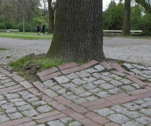 Remont w Parku Skaryszewskim