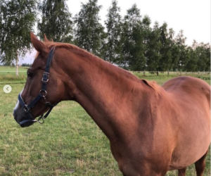 Katarzyna Dowbor, Rodezja