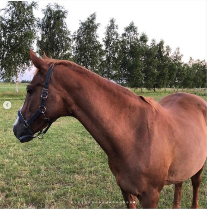 Katarzyna Dowbor, Rodezja