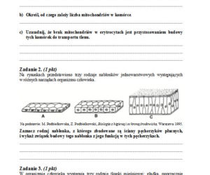 Matura 2013 biologia p. podstawowy