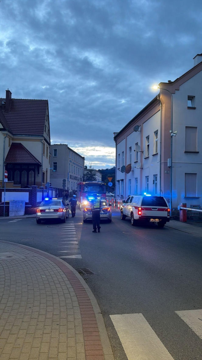 Ewakuacja galerii w Jeleniej Górze. Niewybuchy z II wojny światowej w koszu na śmieci i na trawniku