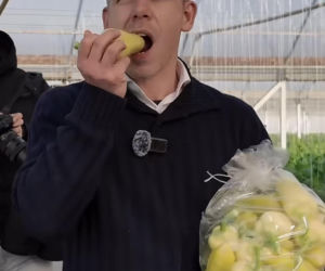 Peter Magyar - lider partii TISZA i jego życie