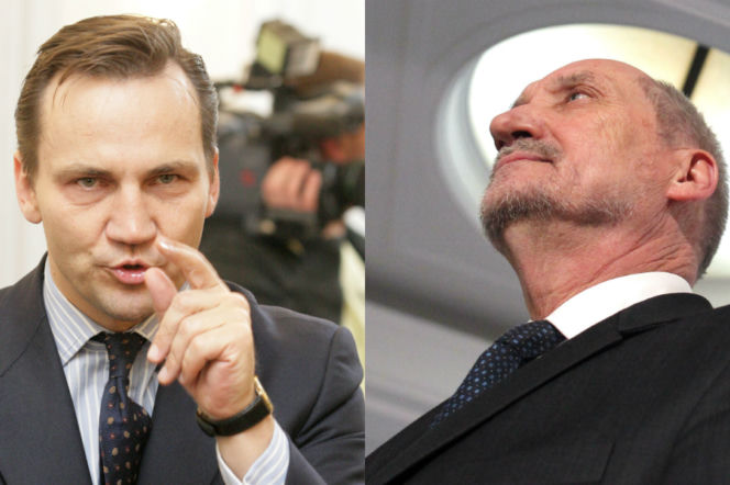 Sikorski do Macierewicza na Twitterze: Antek, ŚWIRZE!