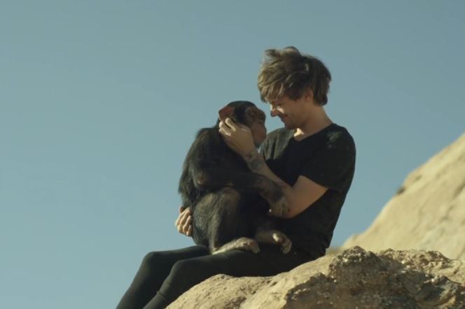 Louis Tomlinson w teledysku do Steal My Girl