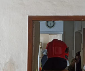 Dramat we Wrocławiu! Weszli do mieszkania i zamarli. Wszędzie były gołębie i odchody