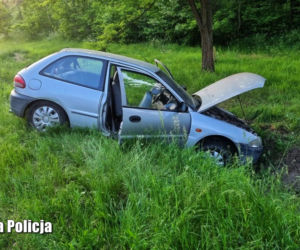 Zabrał samochód brata i skończył w rowie