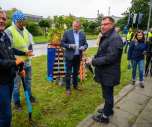 Zielone ogrodzenie przy płocie okalającym Grupę Azoty w Tarnowie