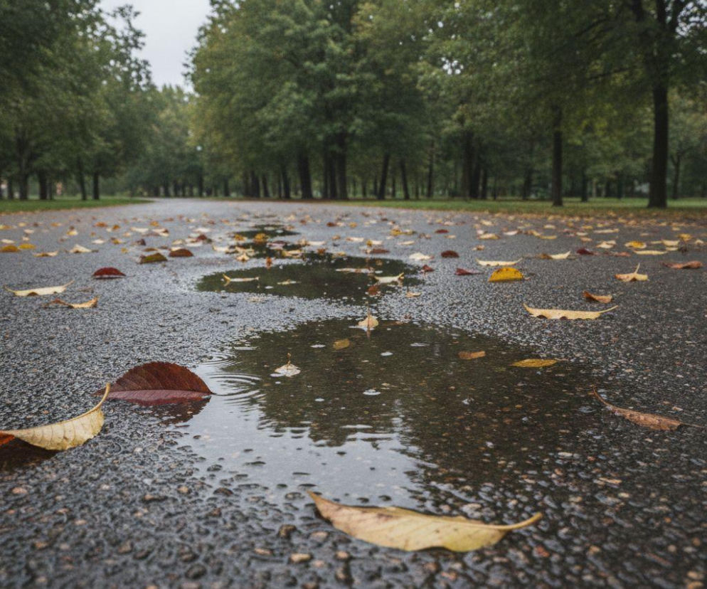 Kałuże i opadłe liście na mokrej alejce w parku. O prognozie pogody dla Krakowa na weekend przeczytasz na SE.
