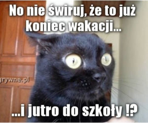 Najlepszy z okazji zakończenia wakacji i początku roku szkolnego!