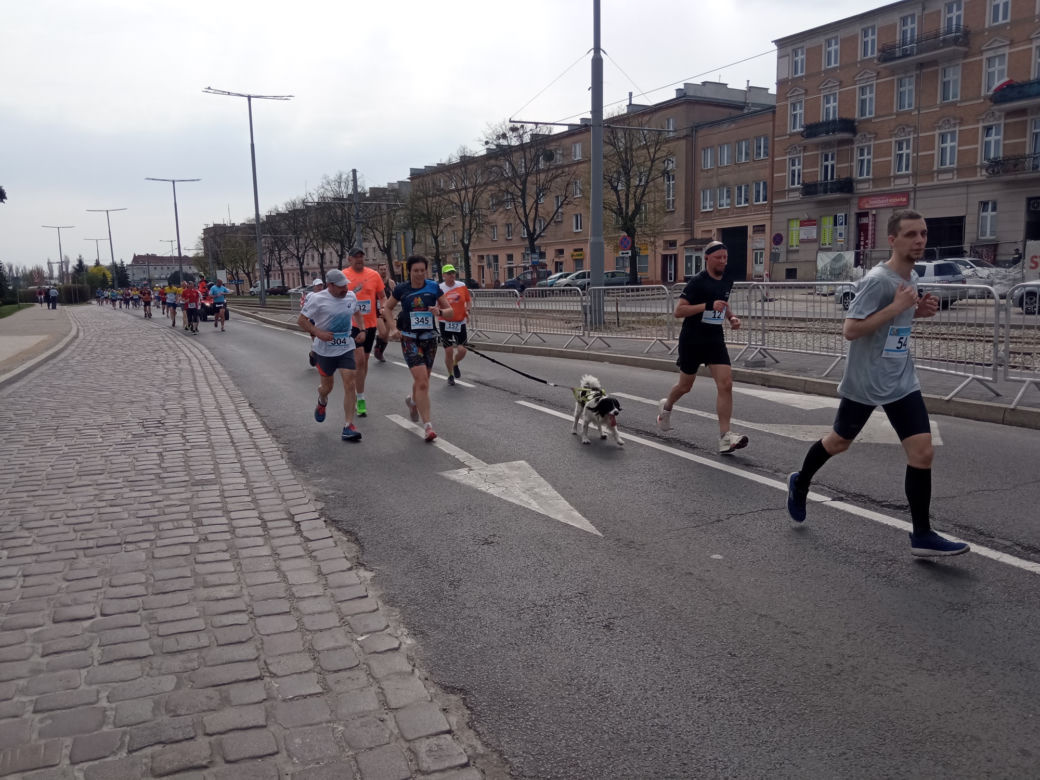Półmaraton śladami Bronka Malinowskiego Grudziądz - Rulewo