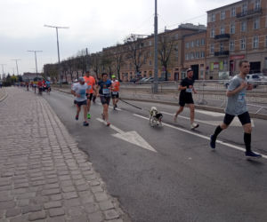 Półmaraton śladami Bronka Malinowskiego Grudziądz - Rulewo