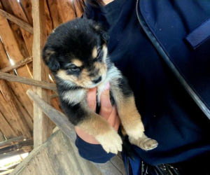 Sprawa ma swój dalszy, poważny ciąg