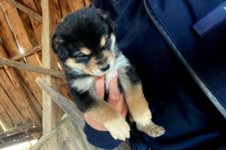 Sprawa ma swój dalszy, poważny ciąg