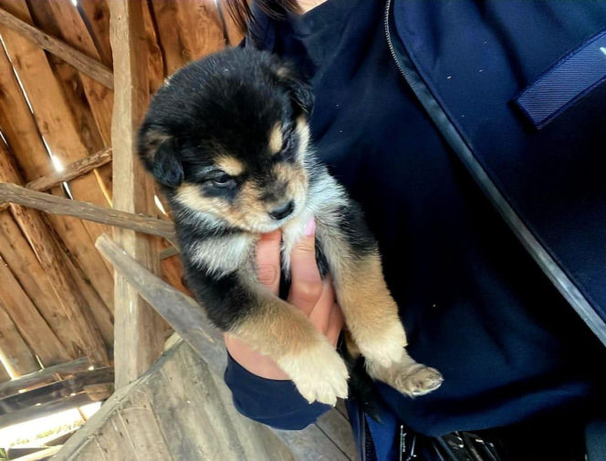 Sprawa ma swój dalszy, poważny ciąg