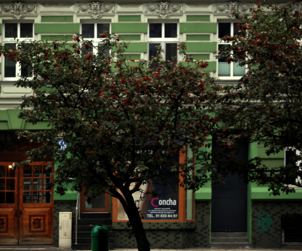 Zielony Szczecin