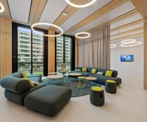 Timber Pioneer we Frankfurcie
