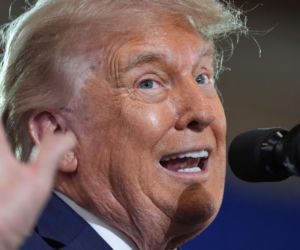 Bawół wygląda jak Donald Trump! To ocaliło mu życie