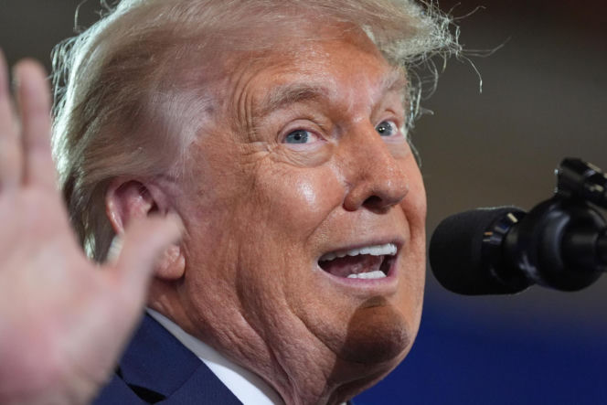 Bawół wygląda jak Donald Trump! To ocaliło mu życie