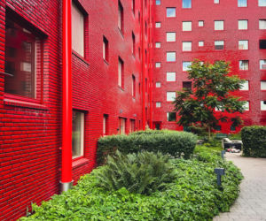 Muddus Kvarteret | Sztokholm