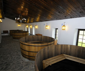 Termy Uniejów
